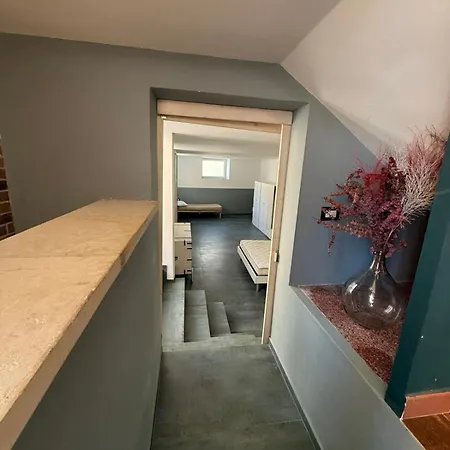 Alena 게스트하우스 마티노