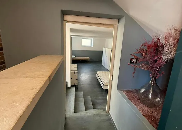 Alena Pensión Matino